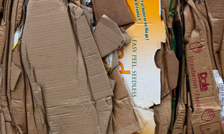 Will the San Diego Living Wage Law Cost the City its Mira Mesa Recycling Center?