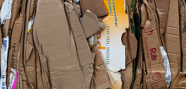 Will the San Diego Living Wage Law Cost the City its Mira Mesa Recycling Center?